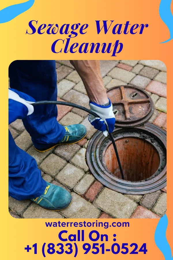 Sewage Water Cleanup in Edgewood, IA